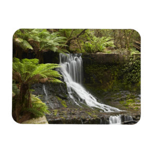 Horseshoe Falls, Mount Field National Park, Magneet