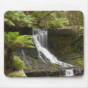 Horseshoe Falls, Mount Field National Park, Muismat