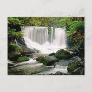 Horseshoe Falls Tasmania Australia Briefkaart