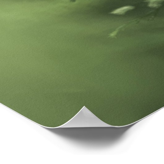 Horsetail Fotogroen bloemontwerp Poster (Hoek)