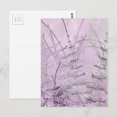 Horsetail Grass/Stems Briefkaart (Voorkant / Achterkant)