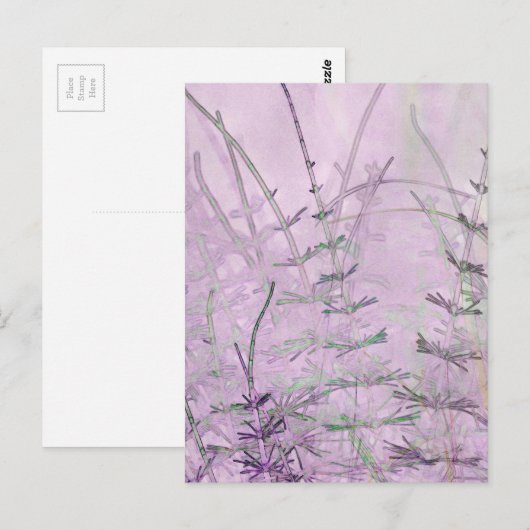 Horsetail Grass/Stems Briefkaart (Voorkant / Achterkant)