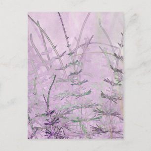 Horsetail Grass/Stems Briefkaart