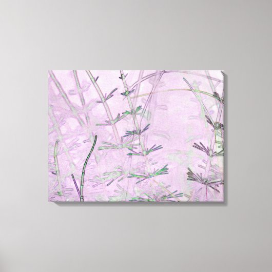 Horsetail Grass/Stems Canvas Afdruk (Voorkant)