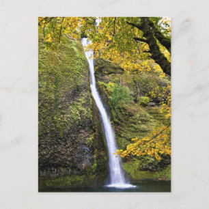 Horsetail-Herfsten, Columbia River Gorge, Oregon Briefkaart