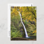 Horsetail-Herfsten, Columbia River Gorge, Oregon Briefkaart (Voorkant / Achterkant)