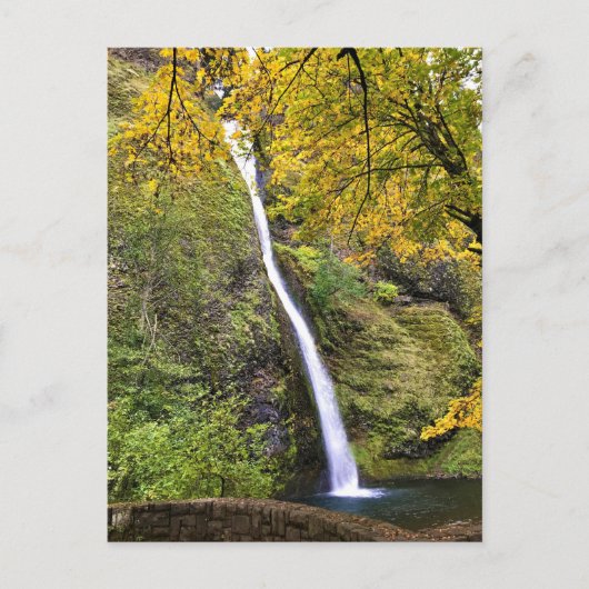 Horsetail-Herfsten, Columbia River Gorge, Oregon Briefkaart (Voorkant)