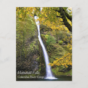 Horsetail-Herfsten, Columbia River Gorge, Oregon P Briefkaart