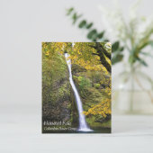 Horsetail-Herfsten, Columbia River Gorge, Oregon P Briefkaart (Staand voorkant)