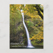 Horsetail-Herfsten, Columbia River Gorge, Oregon P Briefkaart (Voorkant)