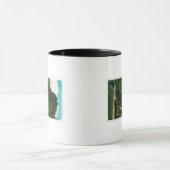 Horsetail-Herfsten in de Columbia River Gorge Mok (Midden)