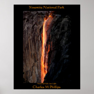 HorseTail-Herfsten laatste licht Poster