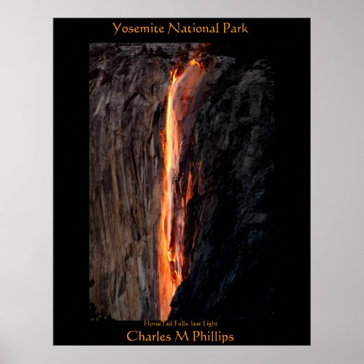 HorseTail-Herfsten laatste licht Poster (Voorkant)