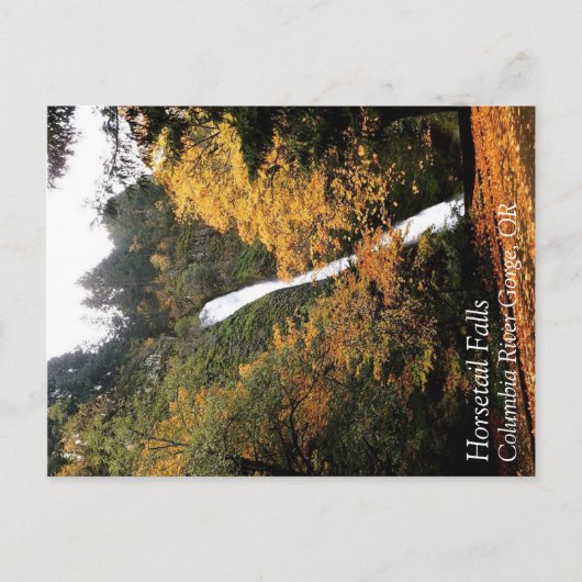 Horsetail-Herfsten, Oregon Briefkaart (Voorkant)