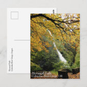 Horsetail-Herfsten, Oregon Briefkaart (Voorkant / Achterkant)