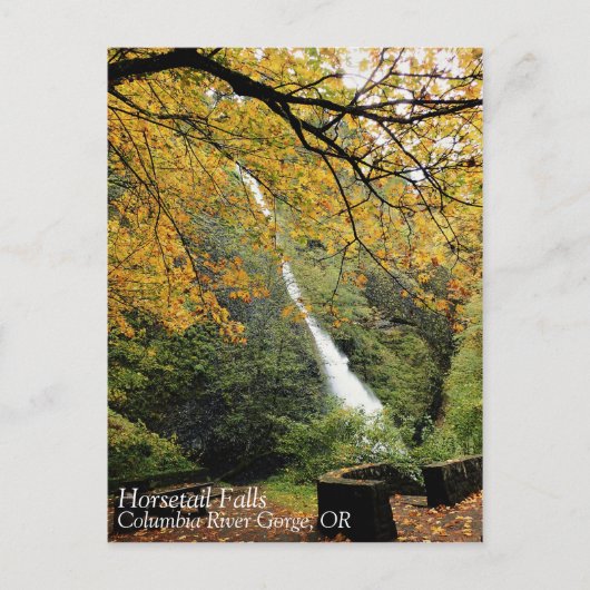 Horsetail-Herfsten, Oregon Briefkaart (Voorkant)
