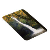 Horsetail-Herfsten, Oregon Magneet (Rechterzijde)