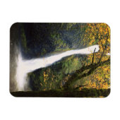 Horsetail-Herfsten, Oregon Magneet (Horizontaal)