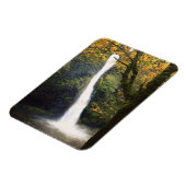 Horsetail-Herfsten, Oregon Magneet (Linkerzijde)