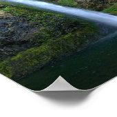 Horsetail-Herfsten, Oregon Poster (Hoek)