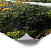 Horsetail-Herfsten, Oregon Poster (Hoek)