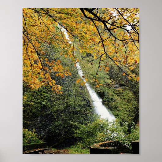 Horsetail-Herfsten, Oregon Poster (Voorkant)