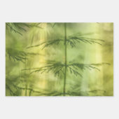 Horsetail Natuur Foto Inpakpapier Vel (Voorkant)