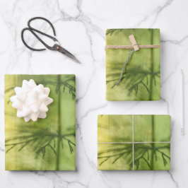 Horsetail Natuur Foto Inpakpapier Vel