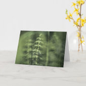 Horsetail Natuur Foto Kaart (Gele Bloem)