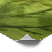 Horsetail Natuur Foto Poster (Hoek)