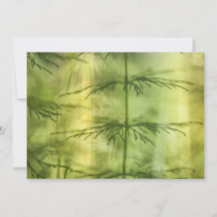 Horsetail-Natuur-fotokaart