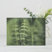 Horsetail-Natuur-fotokaart (Staand voorkant)