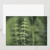 Horsetail-Natuur-fotokaart (Voorkant / Achterkant)