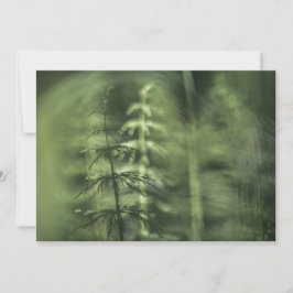 Horsetail-Natuur-fotokaart