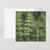 Horsetail-Natuur-fotokaart (Voorkant / Achterkant)