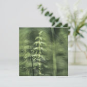 Horsetail-Natuur-fotokaart (Staand voorkant)