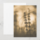 Horsetail Sepia Fotografie-Kaart (Voorkant / Achterkant)