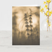 Horsetail Sepia Kaart (Gele Bloem)