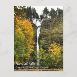 Horsetail-waterval, Columbia River Gorge, Oregon P Briefkaart