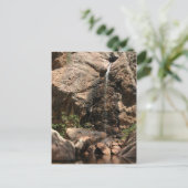 Horsetooth Falls Briefkaart (Staand voorkant)