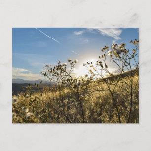 Horsetooth Reservoir Colorado Briefkaart