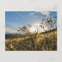 Horsetooth Reservoir Colorado Briefkaart