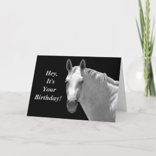 Horsey Birthday Kaart