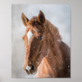HORSIE-POSTER POSTER (Voorkant)