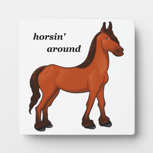 HORSIN' ROND FOTOPLAAT (Voorkant)