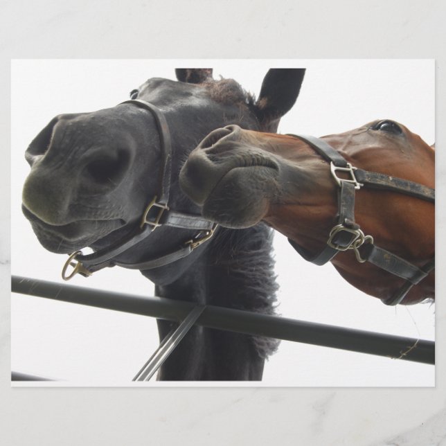Horsing Around (Voorkant)