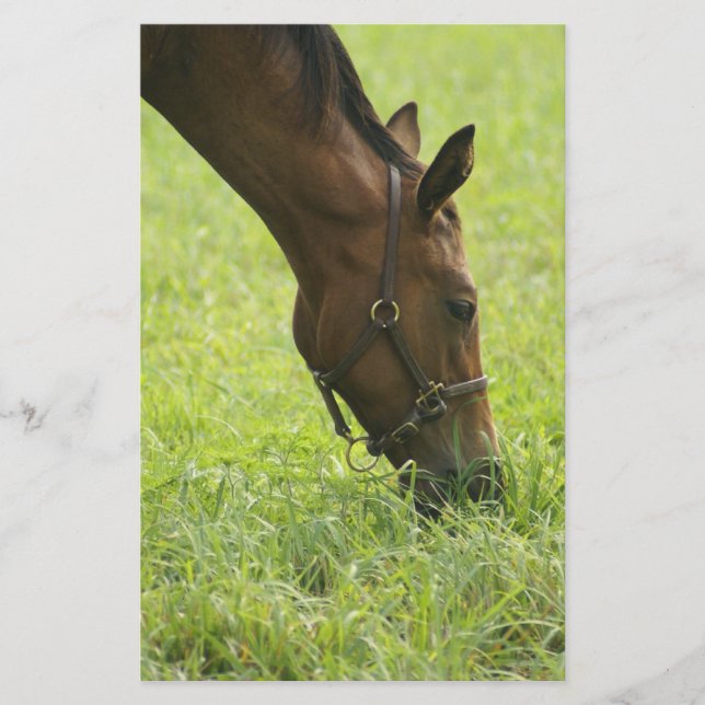 Horsing Around (Voorkant)