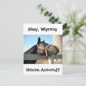 Horsing Around Briefkaart (Staand voorkant)