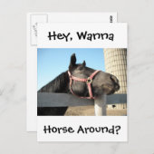 Horsing Around Briefkaart (Voorkant / Achterkant)