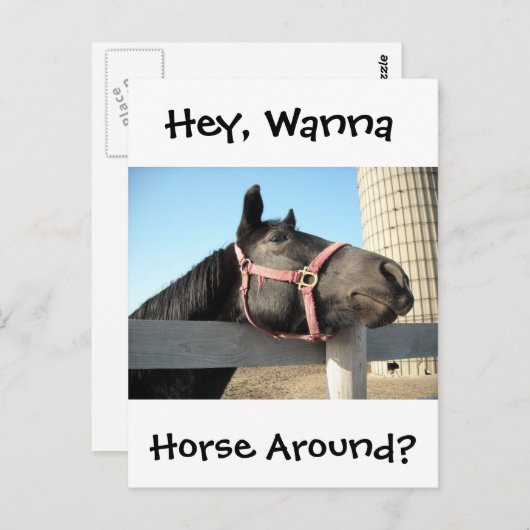 Horsing Around Briefkaart (Voorkant / Achterkant)